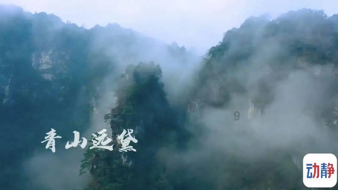 一年要读多少书，才能提高自己的修养和见识？