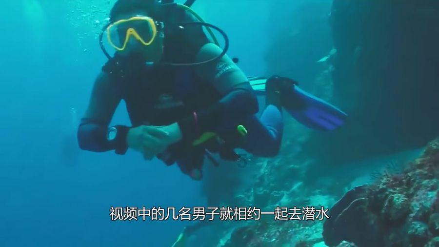 88影视