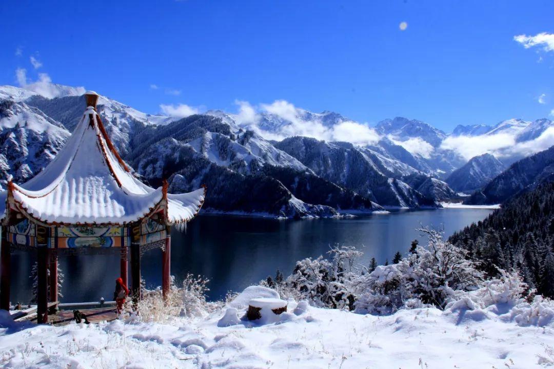 脑洞小老弟无实名认证